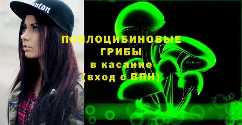 OMG рабочий сайт  Чухлома  Псилоцибиновые грибы Cubensis 